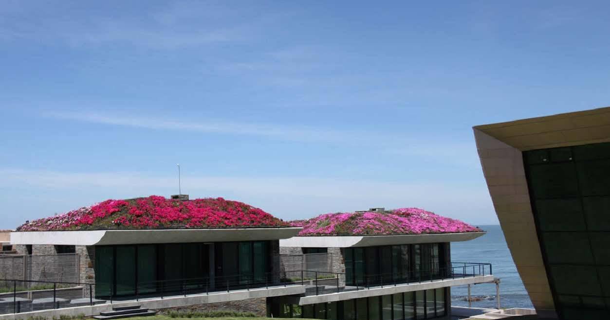 Вилла Playa Vik Jose Ignacio Экстерьер фото